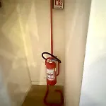 Venustaschiaia